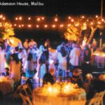 Website-Lighting-1st-Choice-3-300×250
